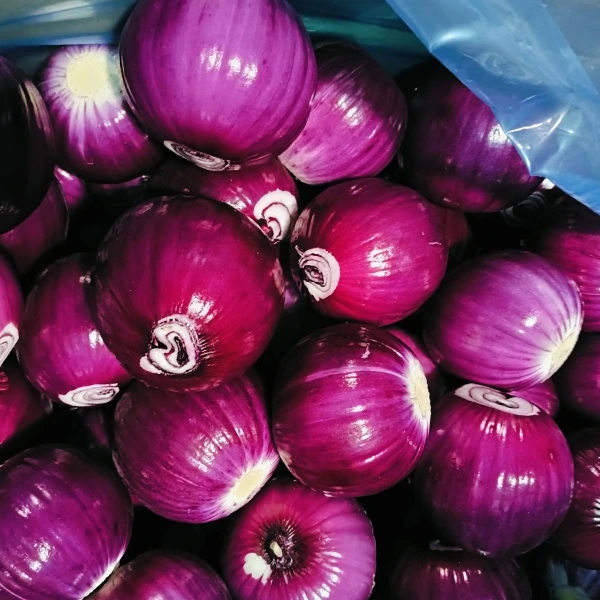 Huaang Food Processing Imapeza Msika Wogawana Ndi Khalidwe Lokhazikika