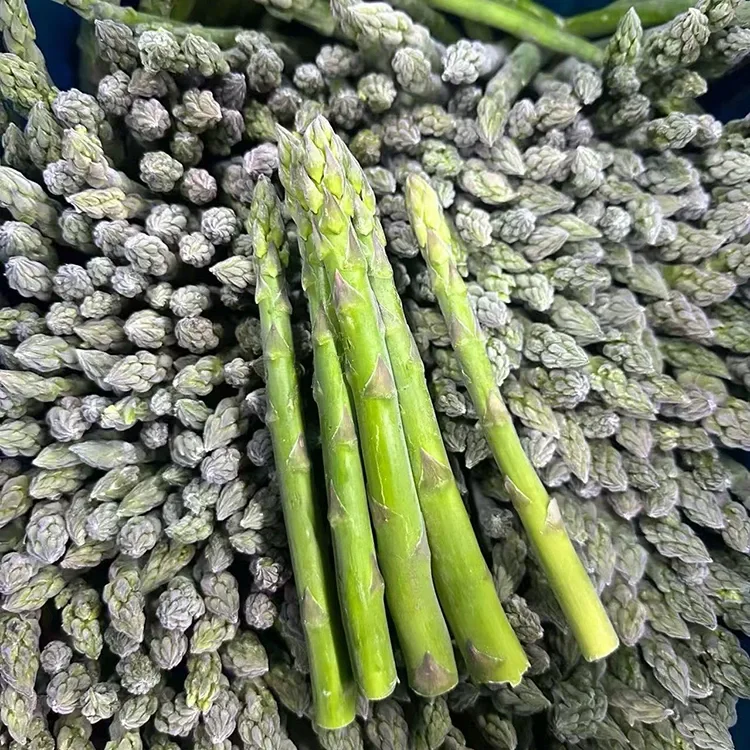 Katsitsumzukwa Wa Frozen Green Wosankhidwa Kuti Agwiritse Ntchito Zakudya Zogwirizana ndi Zopangira Zopangira