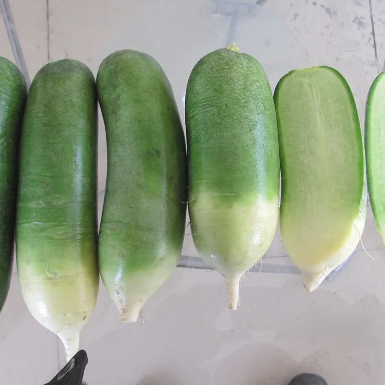 Radish wobiriwira wobiriwira