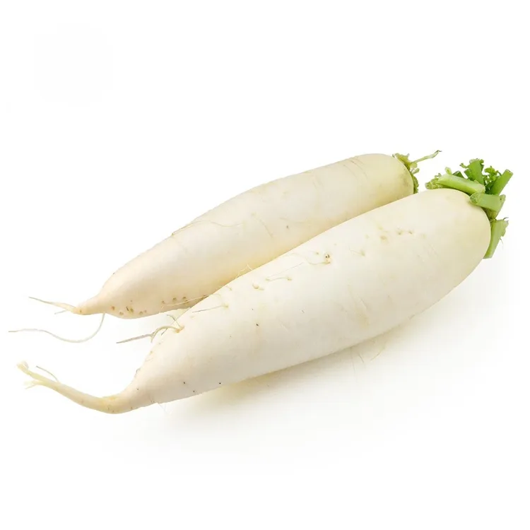 White Radish