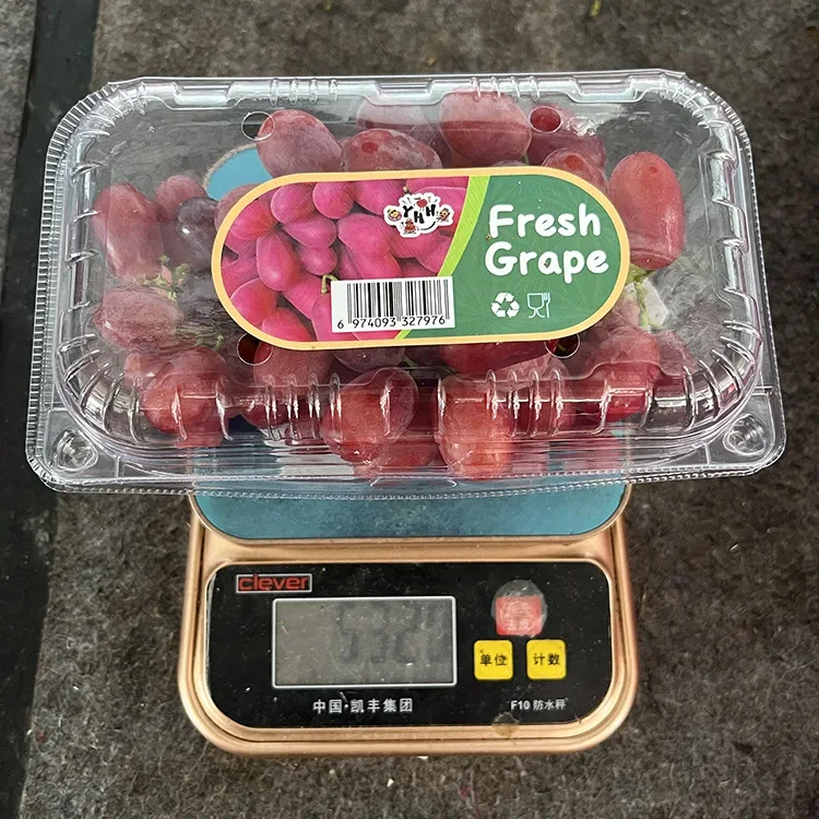 Tumizani Kalasi Mwatsopano Kapezi Seedless Mphesa