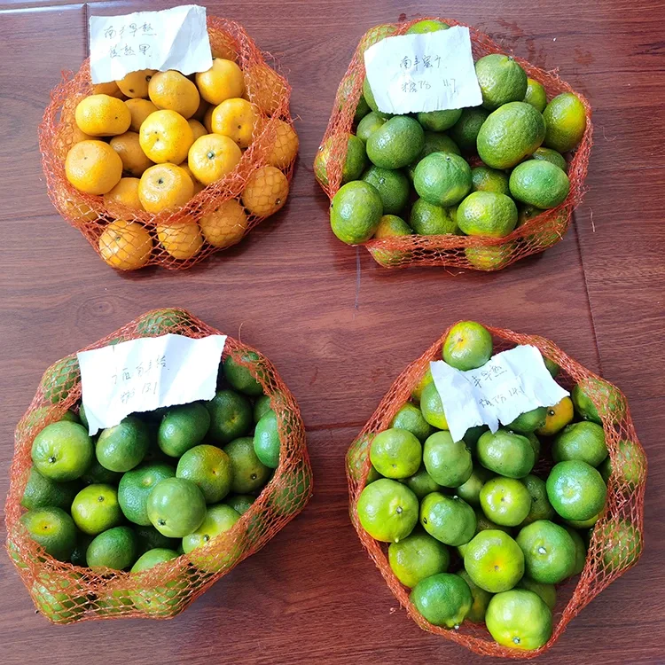 Mwatsopano Honey Mandarin