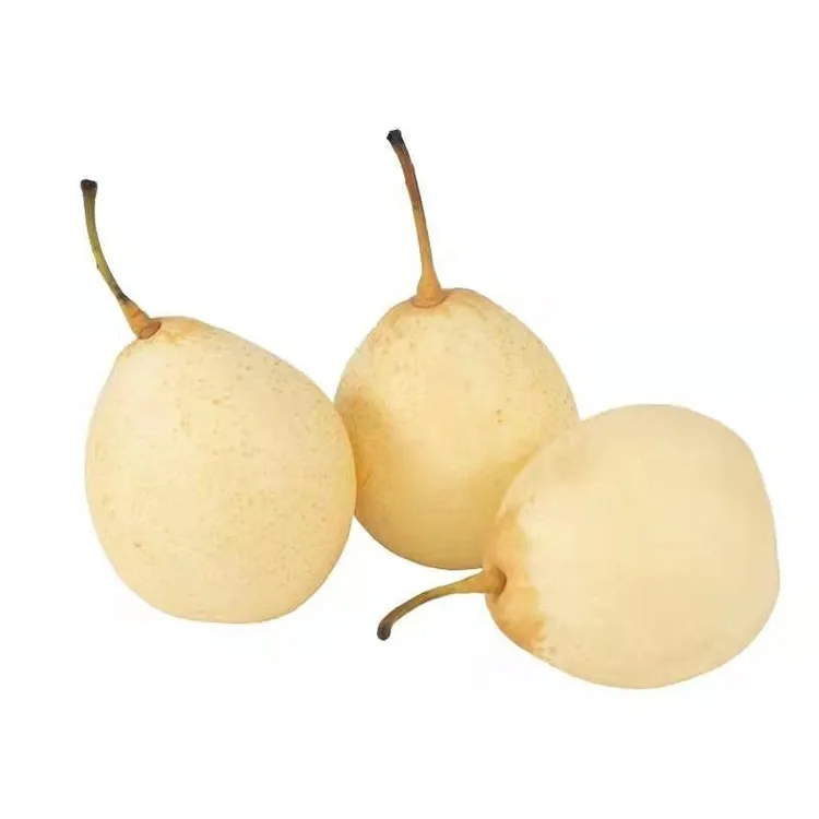 Ya Pear Yokololedwa Mwatsopano