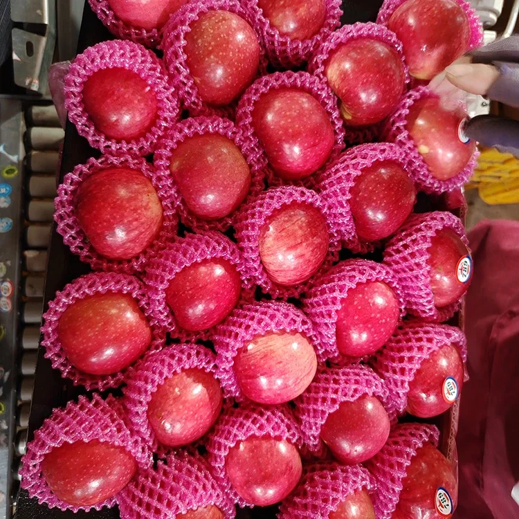 Huaang Food Crisp and Sweet Green Apples