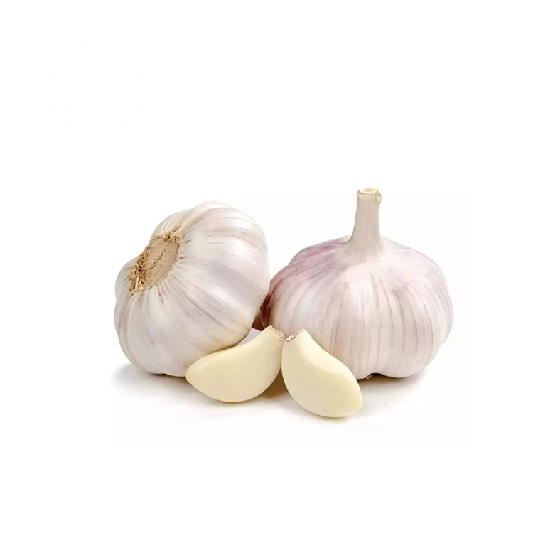 Premium Firm ndi Plump Normal White Garlic