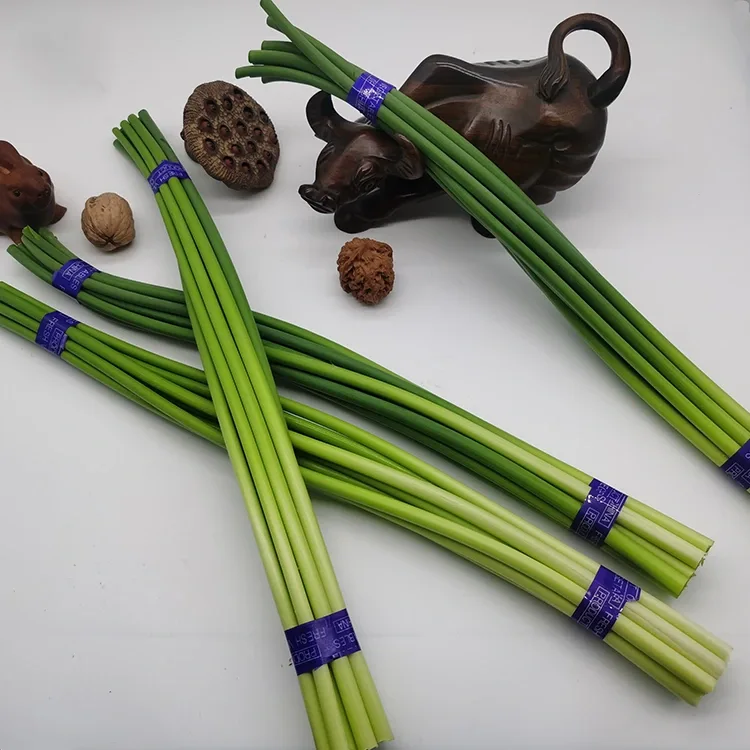 Zopangira Zatsopano Zatsopano Za Garlic