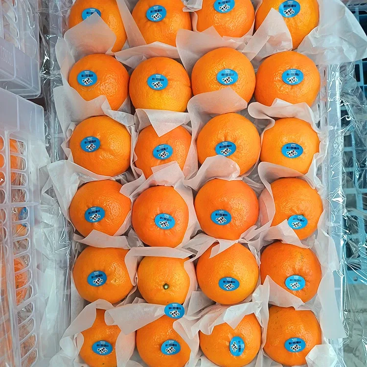Mandarin Wokoma Watsopano Wokoma Wa Wogan