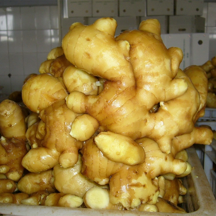 Ginger Wonunkhira Watsopano Wonunkhira