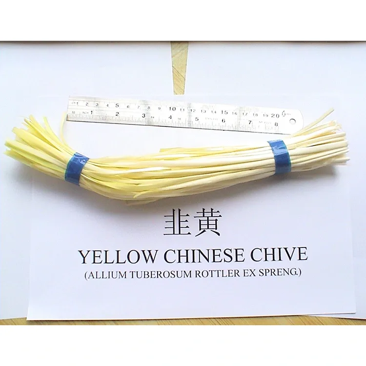 Chives Yellow Yellow